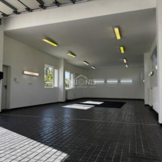 Pronájem ostatního komerčního prostoru 147 m² Chomutov, Grégrova