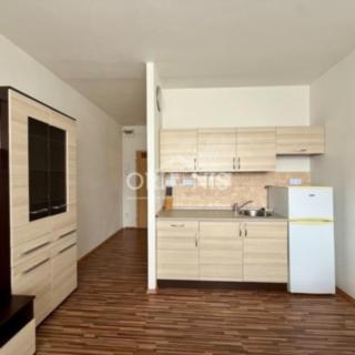 Pronájem bytu 1+kk a garsoniéry 20 m² Chomutov, Seifertova
