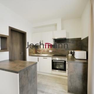 Pronájem bytu 1+kk a garsoniéry 47 m² České Budějovice, Riegrova