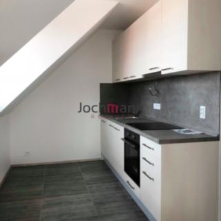 Pronájem bytu 1+kk, garsoniery 38 m² České Budějovice