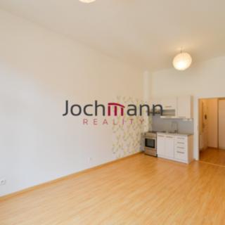 Pronájem bytu 1+kk a garsoniéry 27 m² České Budějovice 1, Česká