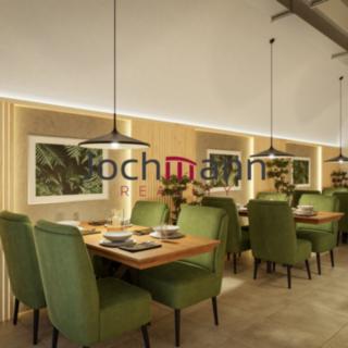 Pronájem restaurace 1 200 m² České Budějovice 1, nám. Přemysla Otakara II.