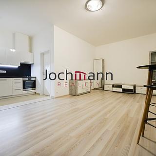 Pronájem bytu 1+kk a garsoniéry 35 m² České Budějovice 3, J. Š. Baara
