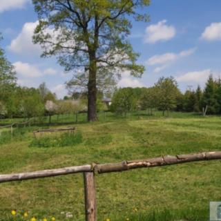 Prodej stavební parcely 12 049 m² Varnsdorf Studánka