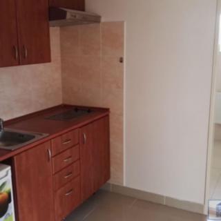 Pronájem bytu 1+1 43 m² Kralupy nad Vltavou, Sokolská
