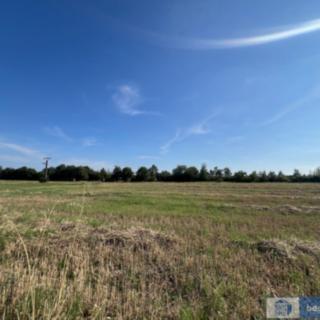 Prodej komerčního pozemku 3433 m² Pletený Újezd