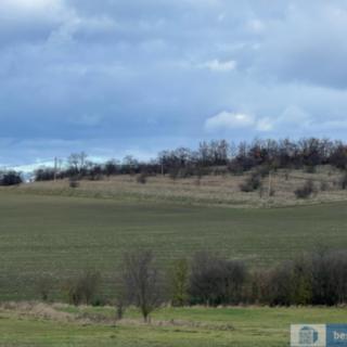 Prodej zemědělské půdy 6021 m² Velvary