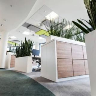Pronájem kanceláře 345 m² Praha