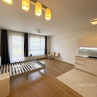Pronájem bytu 1+kk a garsoniéry 40 m² Praha Vysočany, Ocelářská