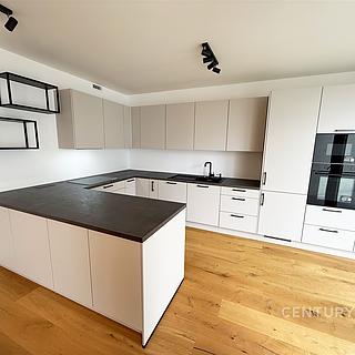 Pronájem bytu 4+kk 115 m² Praha