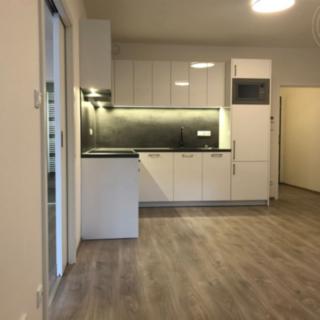 Pronájem bytu 2+kk 55 m² Velké Popovice