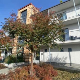 Pronájem bytu 2+kk 60 m² Velké Popovice
