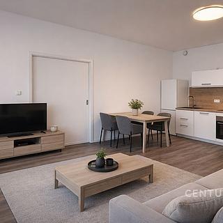 Pronájem bytu 2+kk 60 m² Velké Popovice, V parku