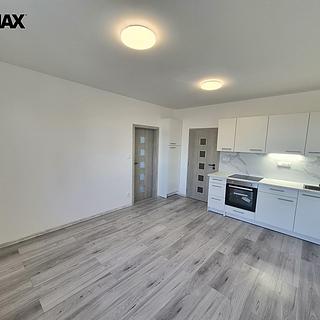 Pronájem bytu 3+kk 51 m² Milovice Mladá, Slepá