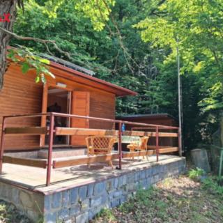 Prodej chaty 60 m² Starý Petřín