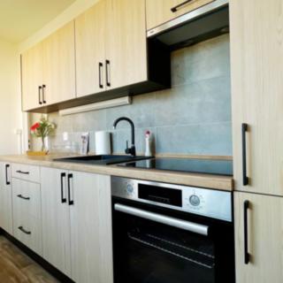Pronájem bytu 2+1 54 m² Česká Lípa, Střelnice