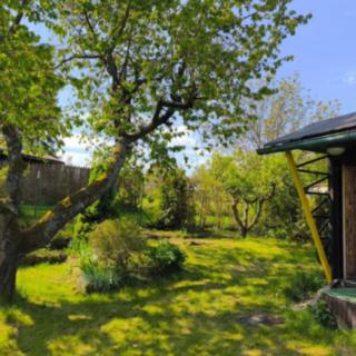 Prodej chaty 27 m² Česká Lípa Častolovice