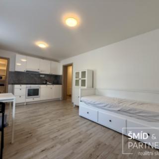 Pronájem bytu 1+kk, garsoniery 25 m² Lošany