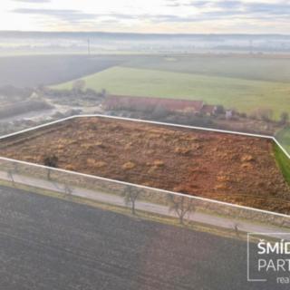 Prodej komerčního pozemku 15000 m² Přelouč