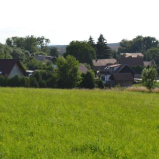 Prodej louky 7840 m² Cholenice