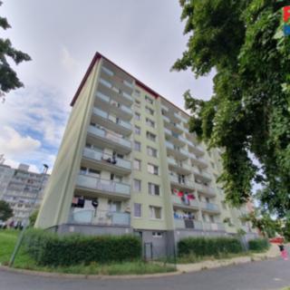 Prodej bytu 3+1 69 m² Litvínov Janov, Hamerská