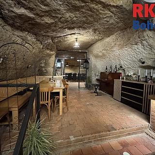 Pronájem restaurace 410 m² Mladá Boleslav, Ptácká