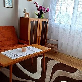 Pronájem bytu 1+1 41 m&sup2; Mladá Boleslav