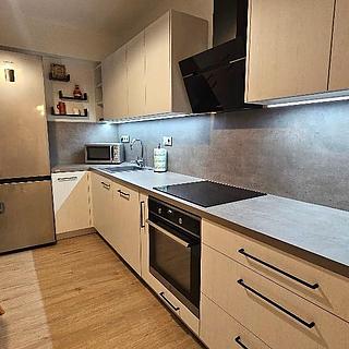 Pronájem bytu 2+1 62 m² Mladá Boleslav II, U stadionu