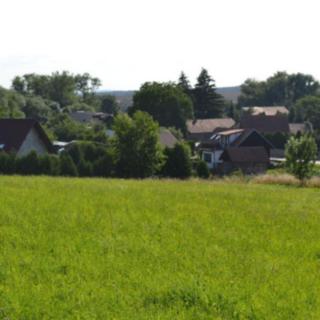 Prodej louky 7 840 m² Cholenice
