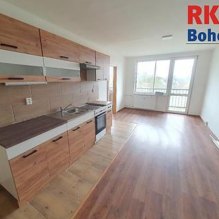 Pronájem bytu 4+kk 68 m&sup2; Litvínov