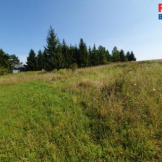 Prodej stavební parcely 3719 m² Plazy