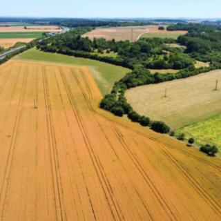 Prodej zemědělské půdy 6 911 m² Starý Vestec