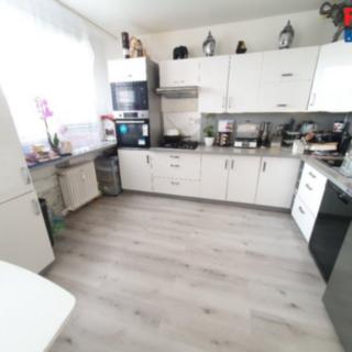 Prodej bytu 4+1 72 m² Litvínov, Hamerská