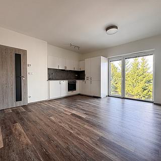 Pronájem bytu 2+kk 49 m&sup2; Světlá nad Sázavou