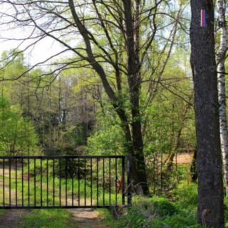 Prodej ostatního pozemku 3 000 m² Karlovy Vary Hůrky, K Letišti