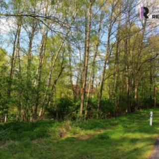 Prodej ostatního pozemku 3 000 m² Karlovy Vary Hůrky, K Letišti