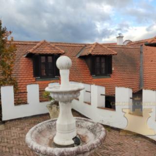 Prodej historického objektu 350 m² Kosova Hora