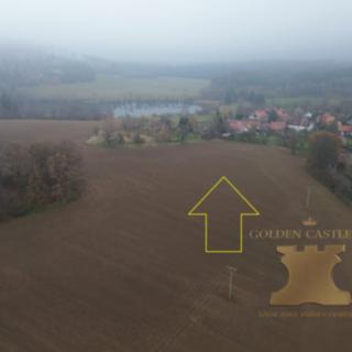 Prodej zemědělské půdy 16 724 m² Louňovice pod Blaníkem Býkovice