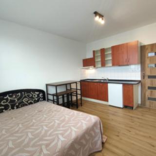 Pronájem bytu 1+kk a garsoniéry 25 m² Tábor, Buzulucká
