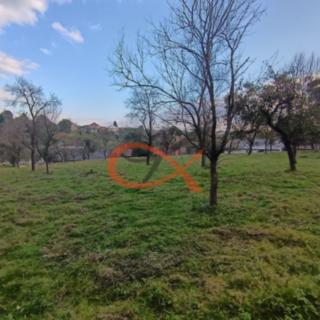 Prodej stavební parcely 6187 m² Ostrata