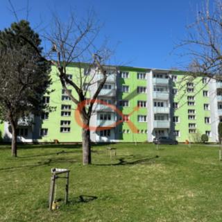 Pronájem bytu 3+1 60 m² Rožnov pod Radhoštěm, Travinářská