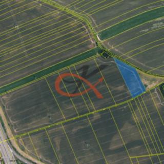 Prodej zemědělské půdy 7 197 m² Olomouc
