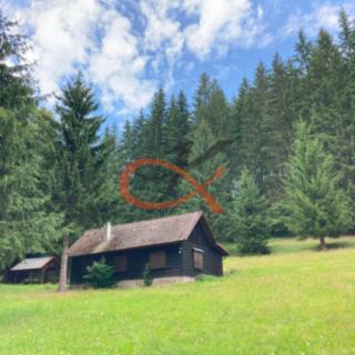 Prodej rodinného domu 80 m² Velké Karlovice