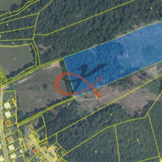 Prodej lesa 29 219 m² Dolní Bečva
