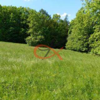 Prodej stavební parcely 9208 m² Háj ve Slezsku