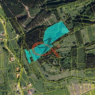 Prodej lesa 36 473 m² Nový Hrozenkov