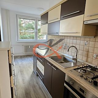 Pronájem bytu 3+1 72 m² Rožnov pod Radhoštěm, Kulturní