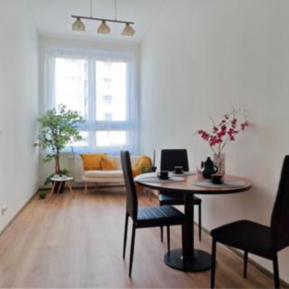 Prodej bytu 2+kk 36 m² Liberec