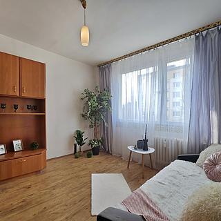 Prodej bytu 1+kk a garsoniéry 24 m² Liberec III-Jeřáb, Oldřichova