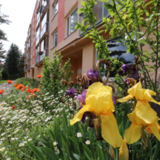 Prodej bytu 4+1 94 m² Stráž pod Ralskem